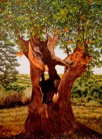 450 Supervivencia.jpg